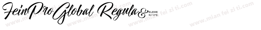 FeinProGlobal Regula字体转换